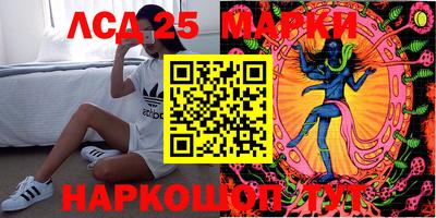 кокс Нальчик