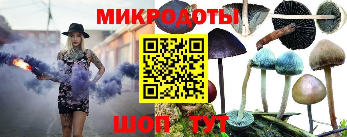 Псилоцибиновые грибы Magic Shrooms Тула