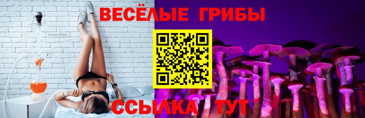 Галлюциногенные грибы Cubensis  Галлюциногенные грибы прущие грибы  Вход с VPN  Тула 